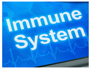 Immune system pic