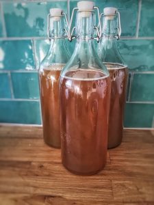 kombucha-1074594_640